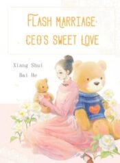 flash-marriage-ceos-sweet-love