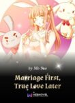 marriage-first-true-love-later-novel