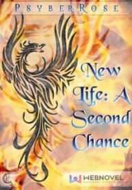 new-life-a-second-chance