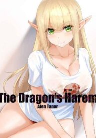 the-dragons-harem